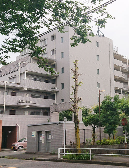 リアライズ羽村イメージ１